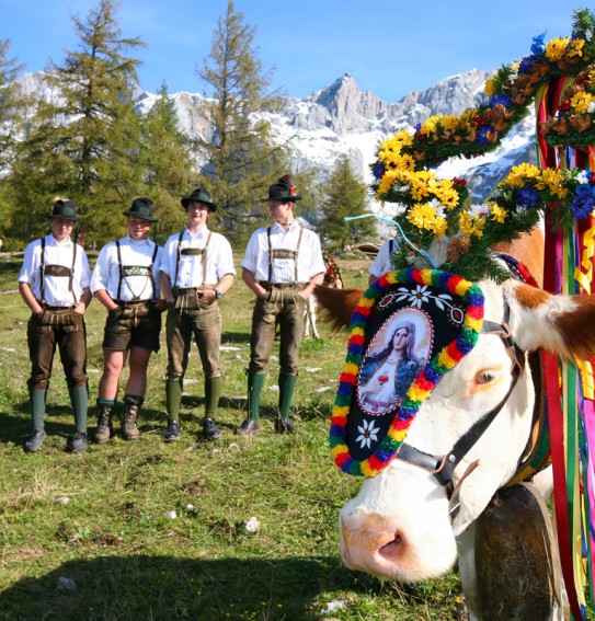 Jährlich ein Highlight in unserer Region - der Almabtrieb