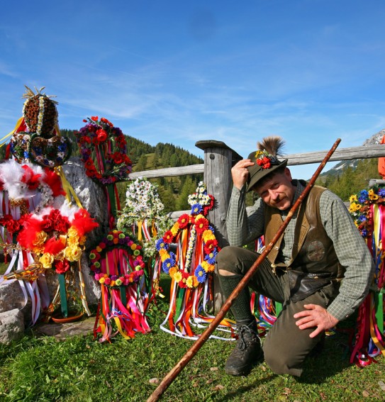 Der Schmuck der Kühe zum Almabtrieb