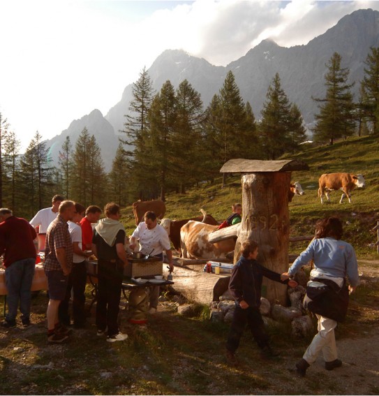 Grillerei auf der Walcheralm - im Hintergrund das Dachsteingebirge