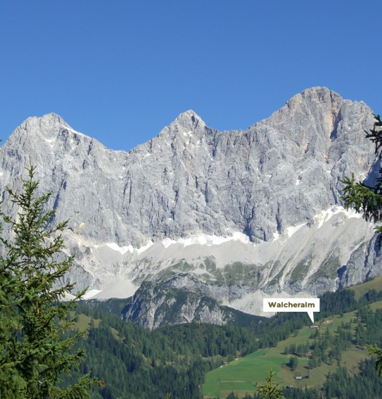 Direkt am Fuße des imposanten Dachsteins liegt die Walcheralm idyllischen eingebettet im Grünen