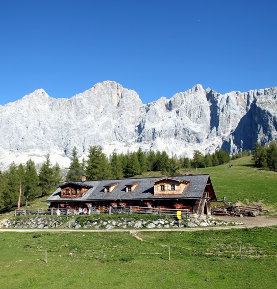 Walcheralm im Sommer - im Hintergrund das Dachsteingebirge