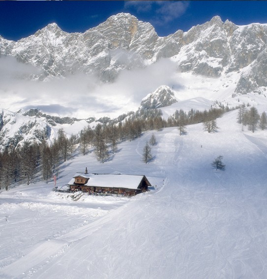 Walcheralm direkt neben der Skipiste