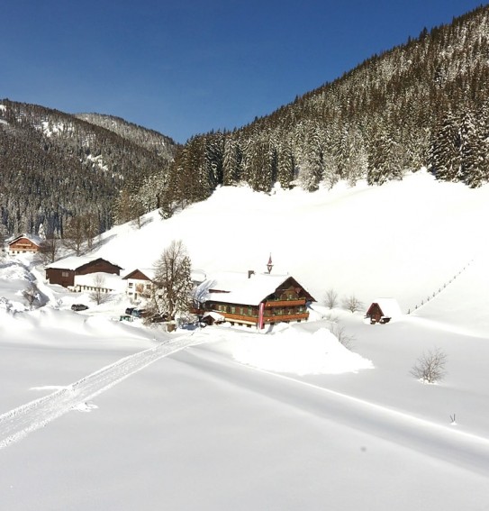 Tief verschneit liegt der Walcherhof eingebettet in die idyllische Winterlandschaft am Fuße des Dachsteins