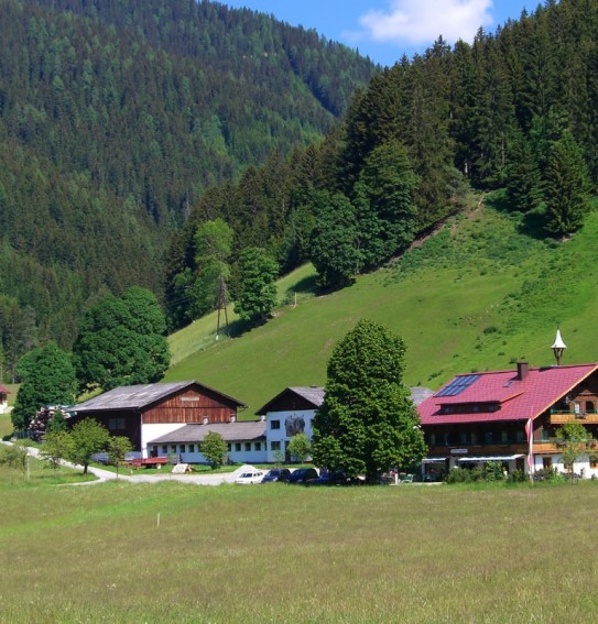 Der Walcherhof im Sommer - hinter dem Haus das Wildgehege